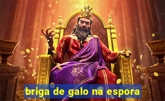 briga de galo na espora